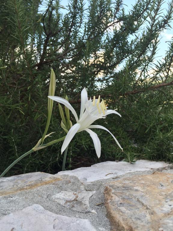 Ca' Di Bianca Hotel Moneglia Kültér fotó